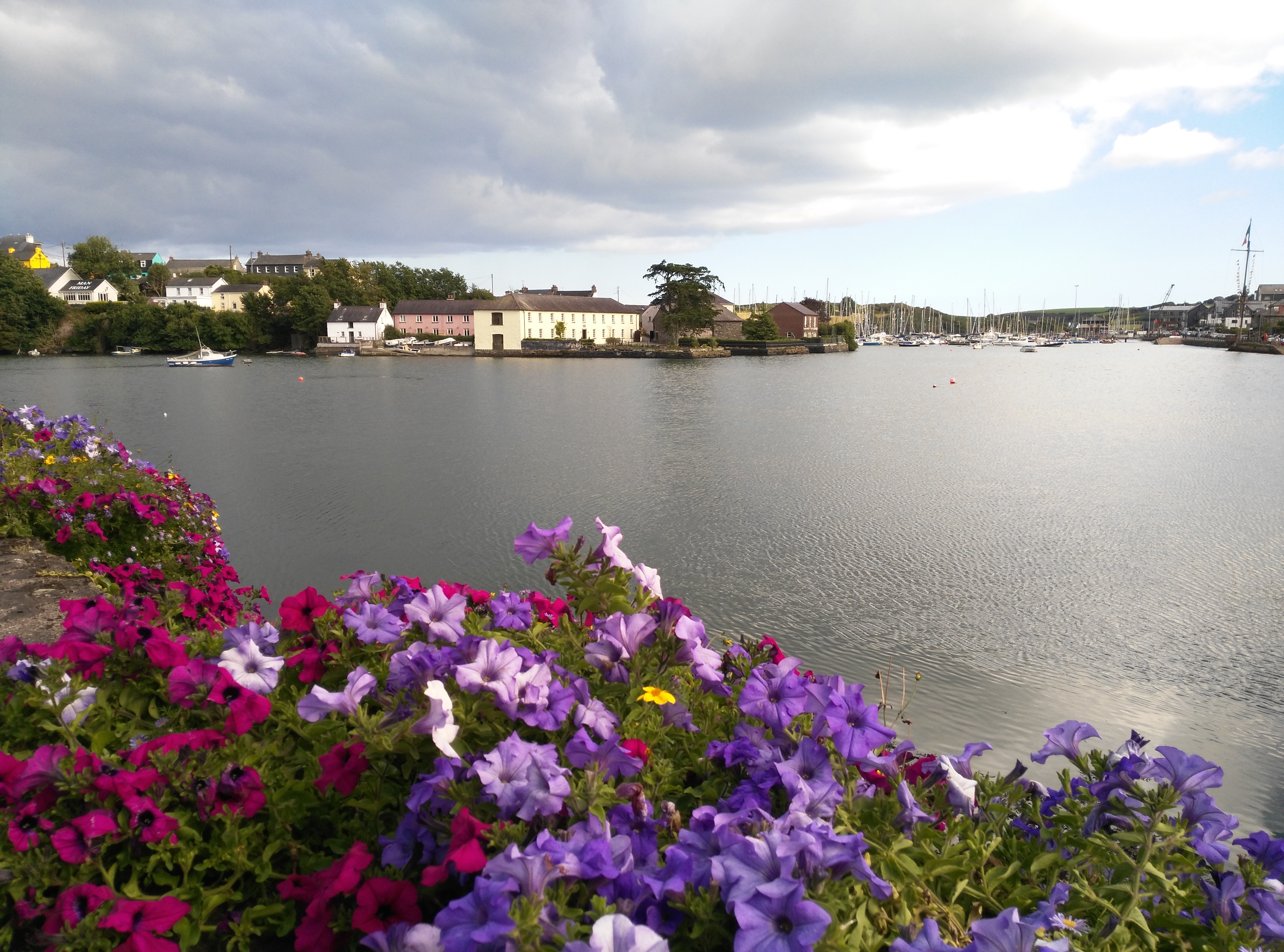 kinsale