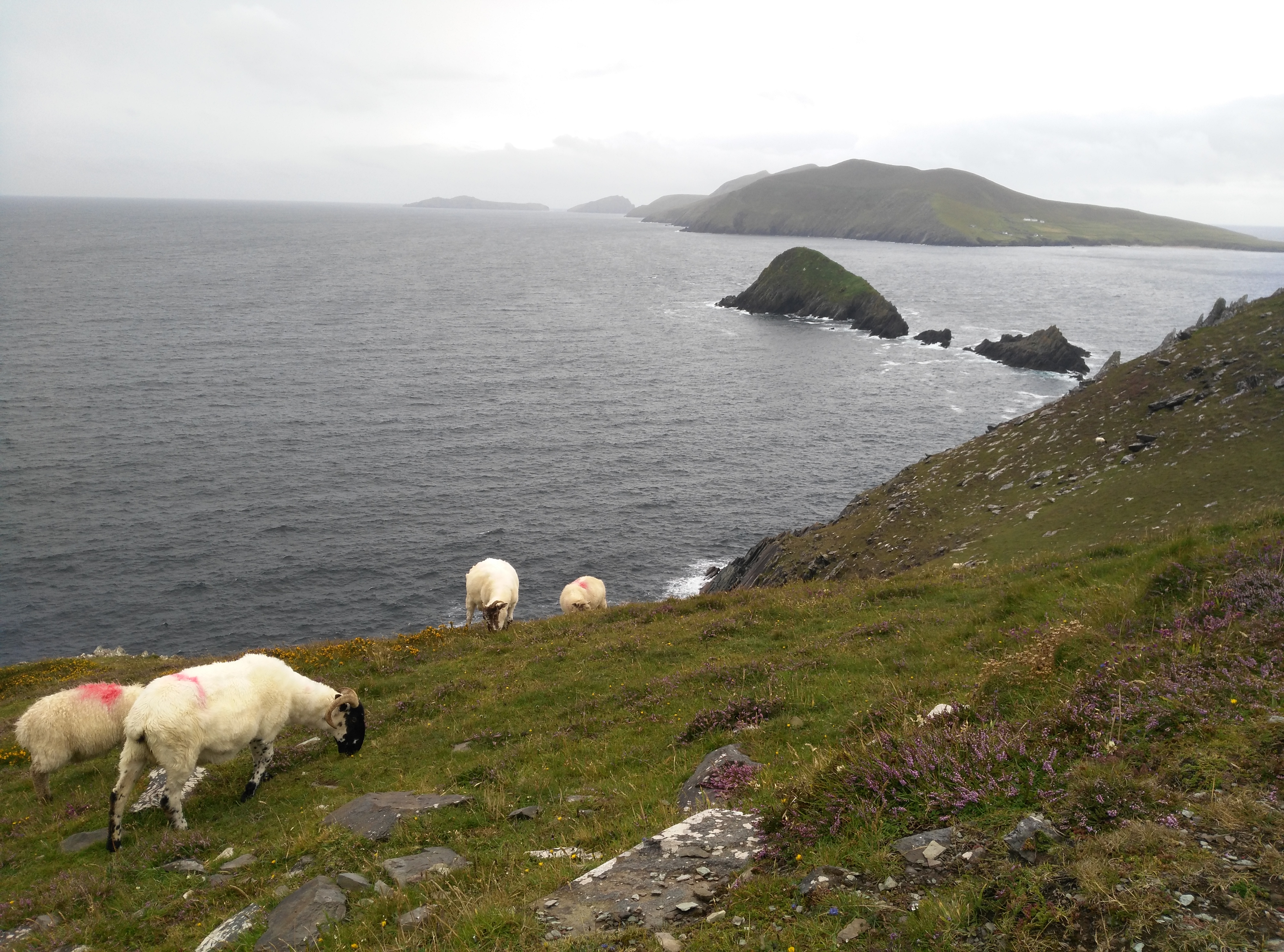 slea head